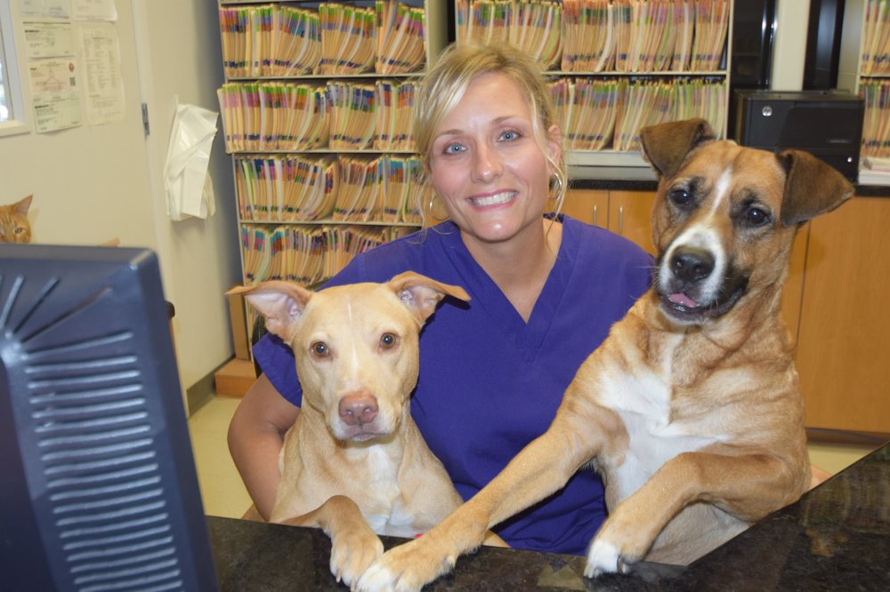 Best Friends Animal Hospital in Sarasota | Best Friends ...