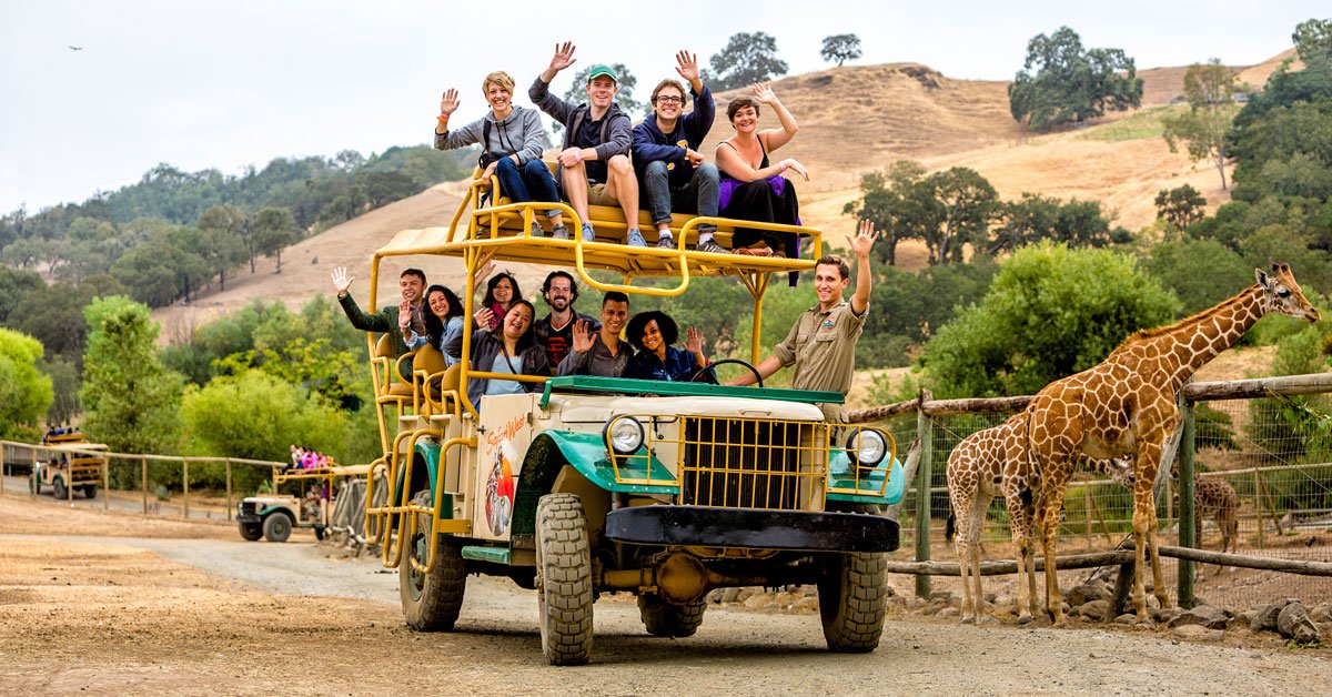 safari west in santa rosa california