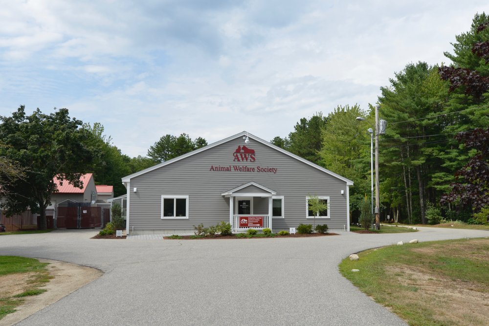 Animal Welfare Society in Kennebunk | Animal Welfare Society 46 Holland