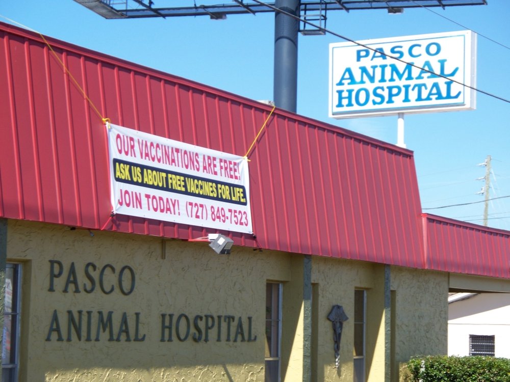 Pasco Animal Hospital in New Port Richey Pasco Animal Hospital 4605