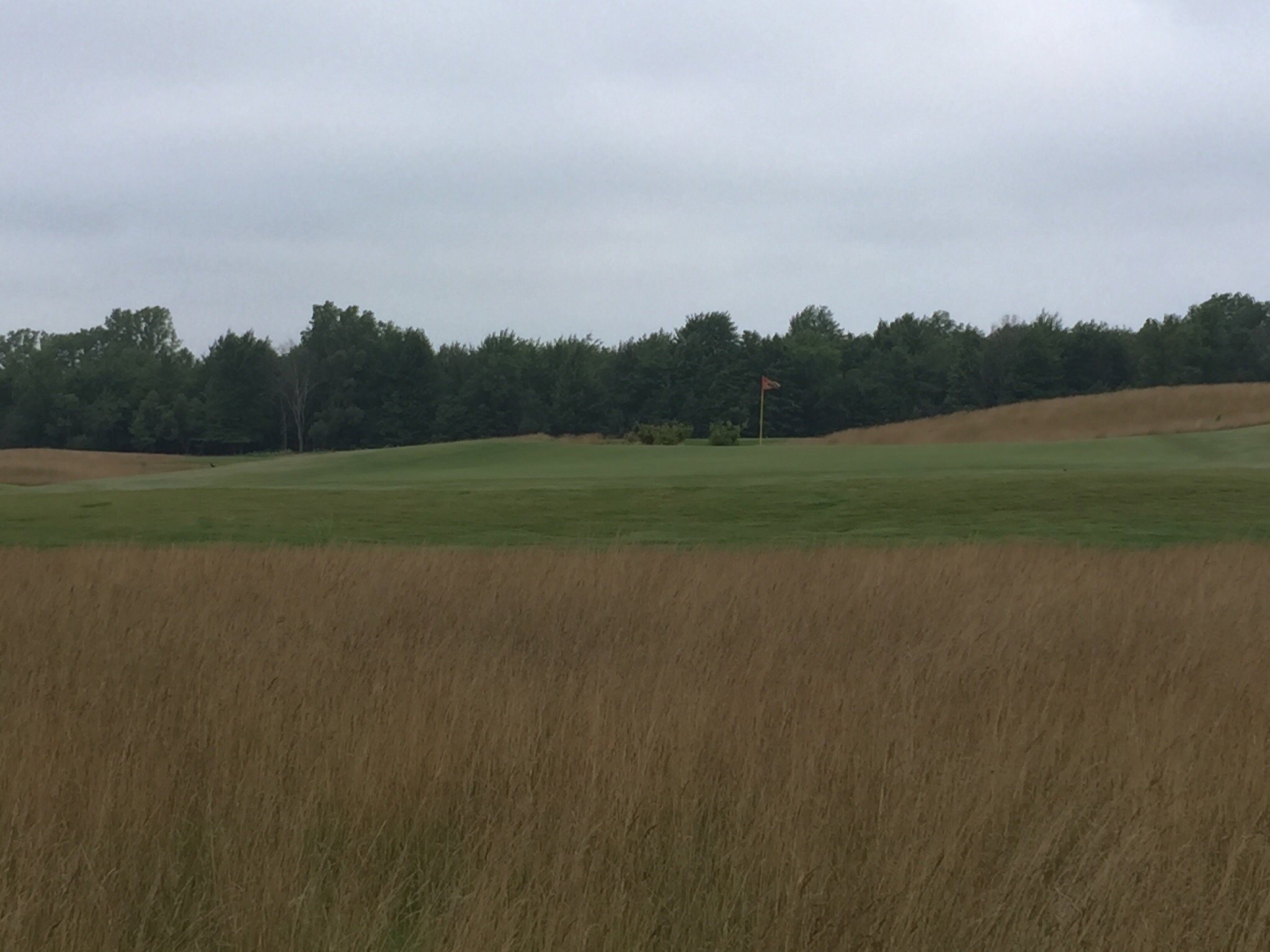 Beeches Golf Club in South Haven Beeches Golf Club 9601 68th St