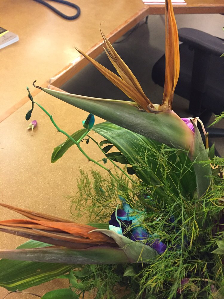 Flowerama in Lakewood Flowerama 9995 W Colfax Ave, Lakewood, CO 80215