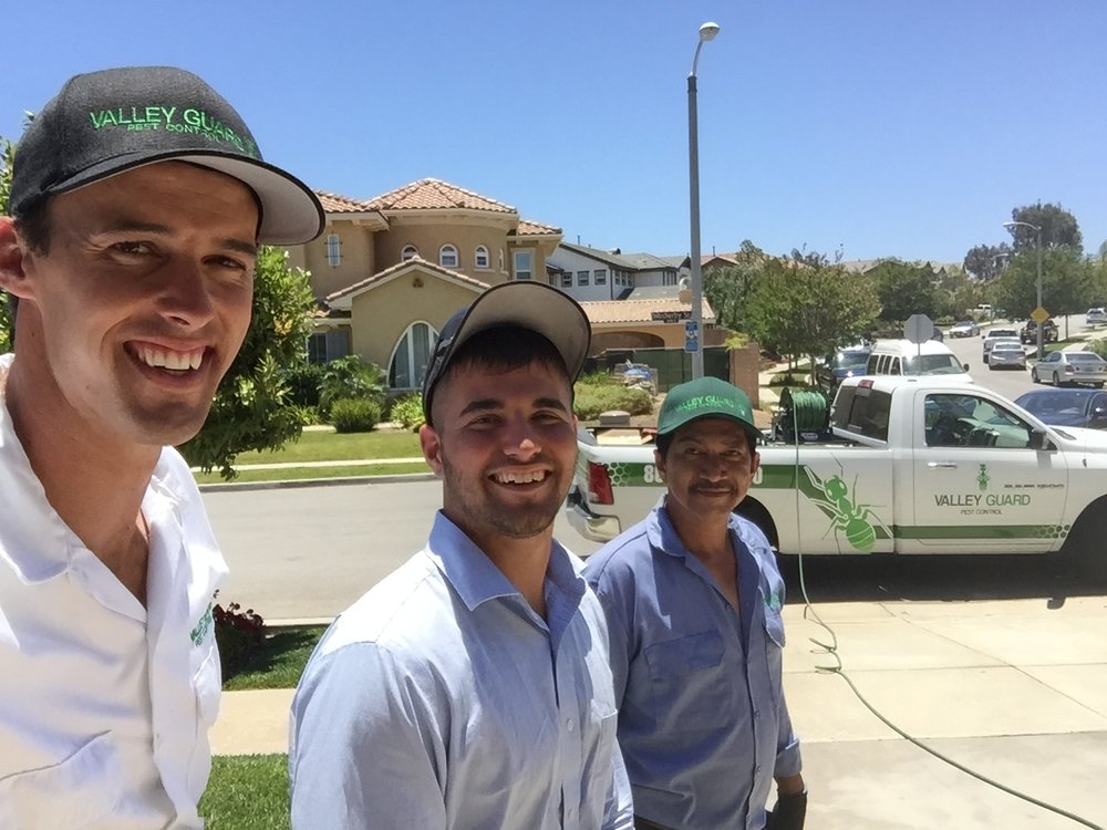 Valley Guard Pest Control in Simi Valley | Valley Guard ...