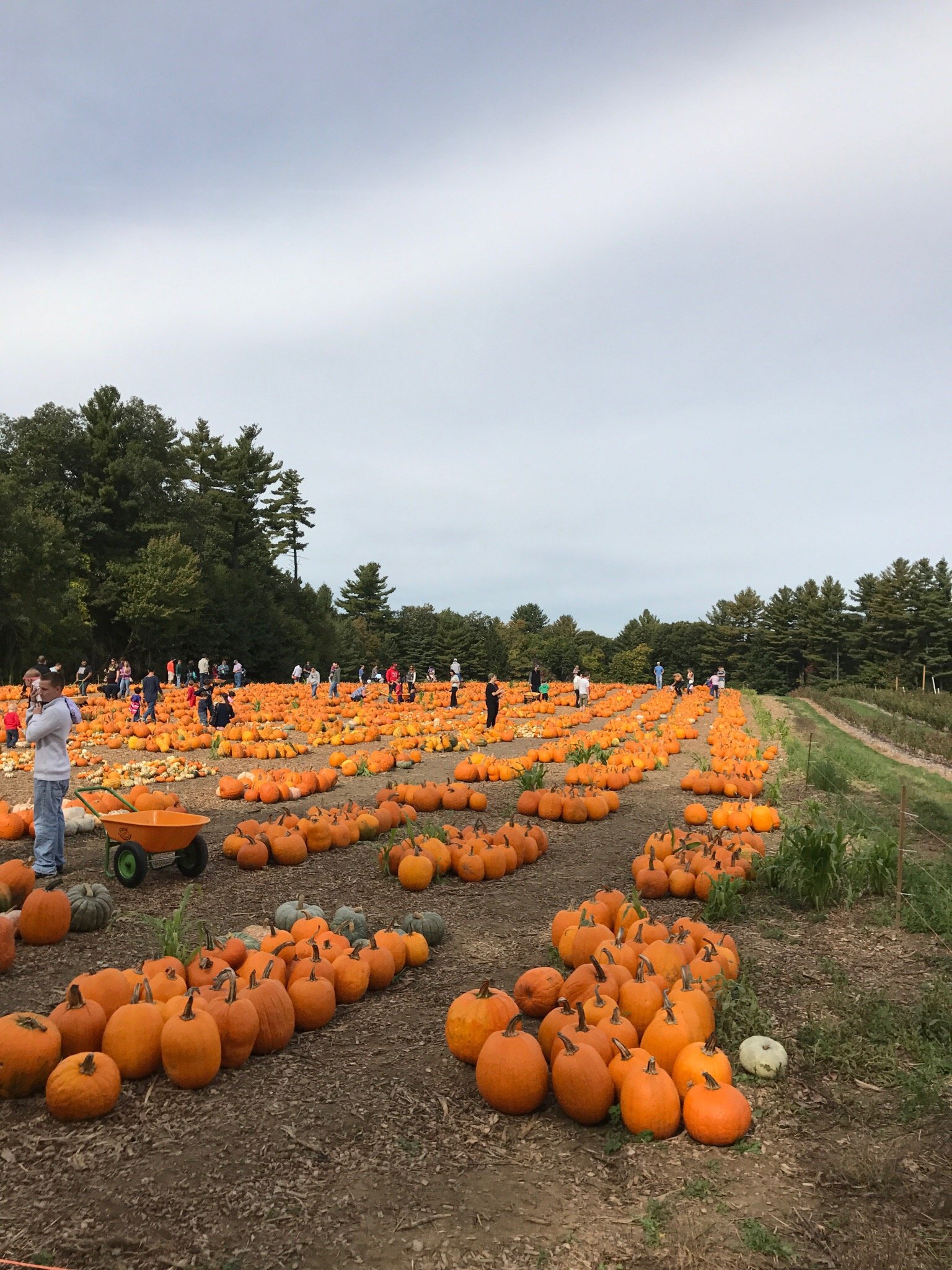 Parlee Farms in Tyngsboro Parlee Farms 95 Farwell Rd, Tyngsboro, MA