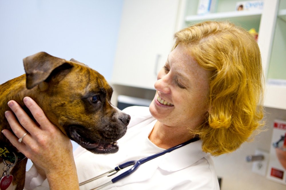 Sedgefield Animal Hospital and Dental Center in Greensboro | Sedgefield