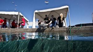 Winners named in global underwater robot event