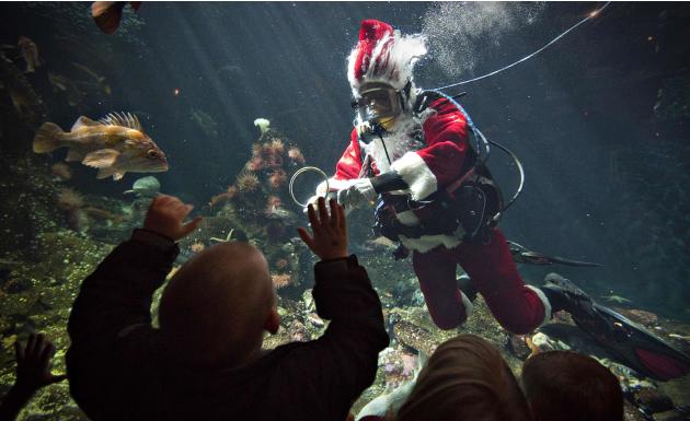 Young visitors to the Vancouver Aquarium watch 