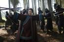 In this image released by Netflix, Michelle Yeoh appears in a scene from"Crouching Tiger, Hidden Dragon: The Green Legend," which will premiere on Netflix and in selected global IMAX theaters on Aug. 28, 2015. (AP Photo/Netflix, Rico Torres)