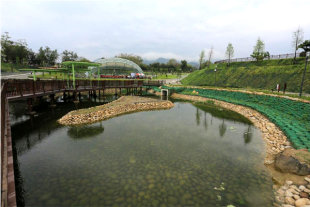 坪林森林生態公園具備滲水、蓄水、排水功能。（圖片來源／台中市政府）