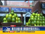 蔬果產地直銷 國道「菜市場」開賣