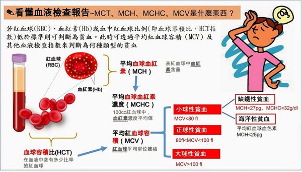 貧血就是缺鐵？亂補「鐵」定出問題