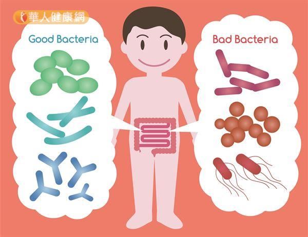 根據國外新研究發現，益生菌會促進骨骼健康。