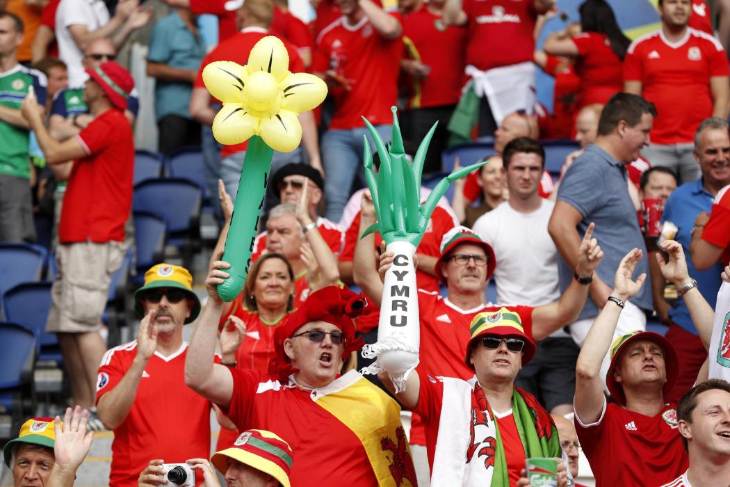 Wales fans before the match