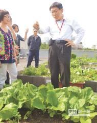 台北市長柯文哲（右）29日參加「公有屋頂示範菜園計畫成果發表會」，並且參觀文山老人安養中心屋頂一片綠意盎然的菜園。（季志翔攝）