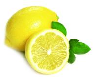 檸檬富含維生素C，可幫助人體合成「肉鹼」，有助燃燒脂肪。（圖片／取材自《100種水果營養圖典》一書）