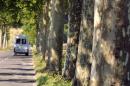Sécurité routière: le débat sur l'abattage des arbres le long des routes relancé