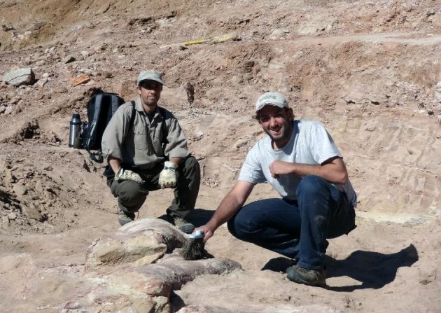 Foto divulgada el 17 de mayo de 2014 por el Museo Paleontológico Egidio Feruglio de Trelew, Argentina, de unos expertos posando junto a unos fósiles de un dinosaurio a unos 1.300 kilómetros al sur de Buenos Aires