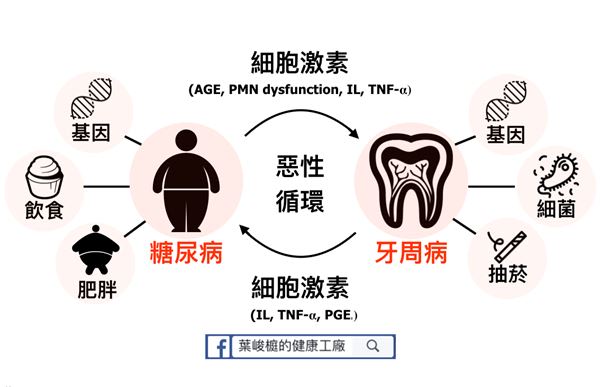 為什麼糖尿病患都要有專屬的牙醫師？