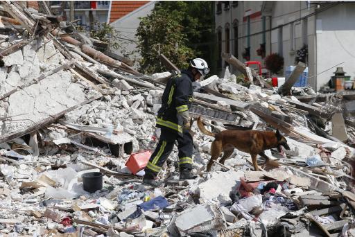 Un bombero y su perro entrenado buscan entre los escombros de un edificio después de una explosión, el domingo 31 de agosto de 2014 en Rosny-sous-Bois, en las afueras de París. (Foto AP/Christophe Ena)