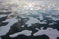 溫室效應導致北極海冰減少，已嚴重影響北極熊生存。（photo by NOAA Photo Library；NASA Goddard Space Flight Center on Flickr - used under Creative Commons license）