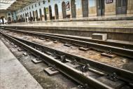 Una paloma camina por una vía en la estación de tren de Santa Apolonia hoy durante una jornada de huelga general del servicio de ferrocarriles en Lisboa (Portugal). EFE