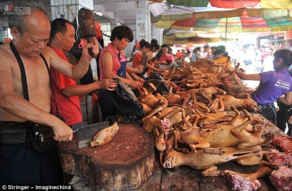 慶祝狗肉節 廣西瘋狂屠殺  中港新闻