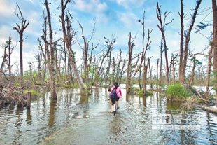 別有風情台東森林公園琵琶湖水量豐沛，水位溢過自行車道，遊客騎車涉水，別有一番風情。（莊哲權攝）