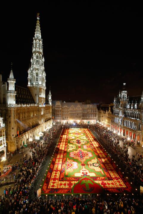 flower-carpet-2014-brussels-20140815-004110-129.jpg