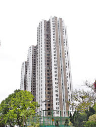 荃湾绿杨新邨低层两房，不设睇楼情况下获用家承接。（资料图片）
