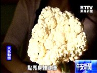 白花椰菜解毒抗癌　洋蔥防乳癌、大腸癌