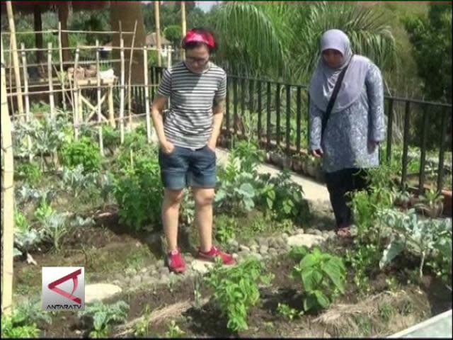 Berkebun Sayur Organik Di Atap Rumah  Share The Knownledge