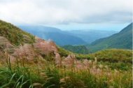 每逢秋季，「楓」「芒」萬丈，大自然又為大地又重新繪染出大地不同的姿色，尤其秋芒呈數大之姿，整個山頭的芒花又隨風擺動，讓整座山也活潑了起來，而人們在芒草中穿梭、在陽光及夕陽中所展現美麗的感動，都讓秋芒呈現了自己味道與風華！