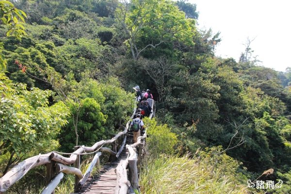 【台中旅遊】小長城之稱的大坑四號步道，風景美極了！下山必吃新凍芋圓