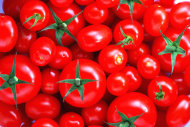 英國劍橋大學研究發現，番茄內富含的「茄紅素」，可強化心血管疾病患者的血管功能。（photo by維基百科）