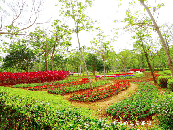 新景點！帶著全家一起與狸貓同遊客家大院吧～苗栗狸貓影城桐花樂園