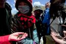 Un grupo de personas muestra el hongo Cordyceps sinensis, conocido como el viagra del Himalaya, el 1 de junio de 2013 en Gannan, China