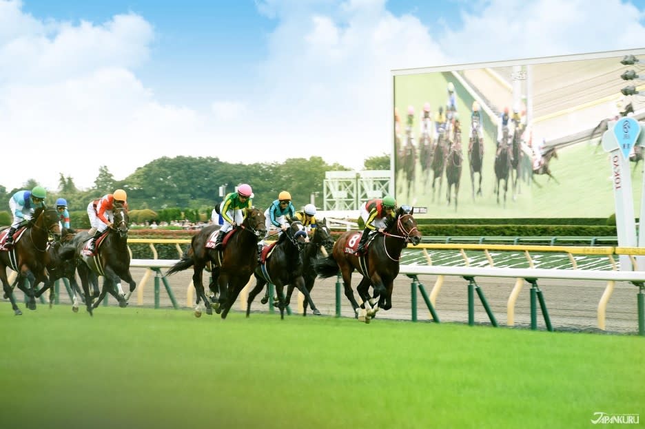 日程 表 競馬 中央 中央競馬全レース中継/中央競馬パドック中継