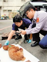 →林女的愛犬「茶茶」疑遭虐死，蘆洲警方查看傷勢並拍照。（謝文瑄攝）