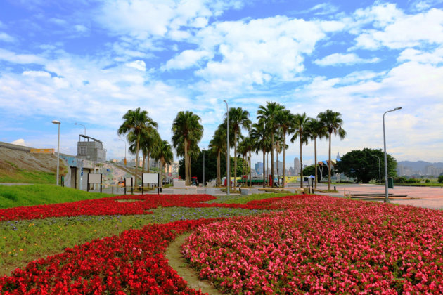 4千盆花卉散滿馬場町公園