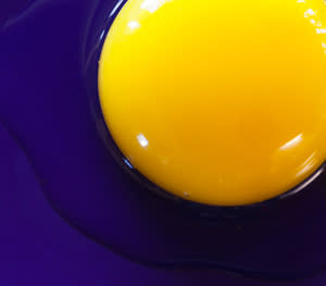 Egg yolk