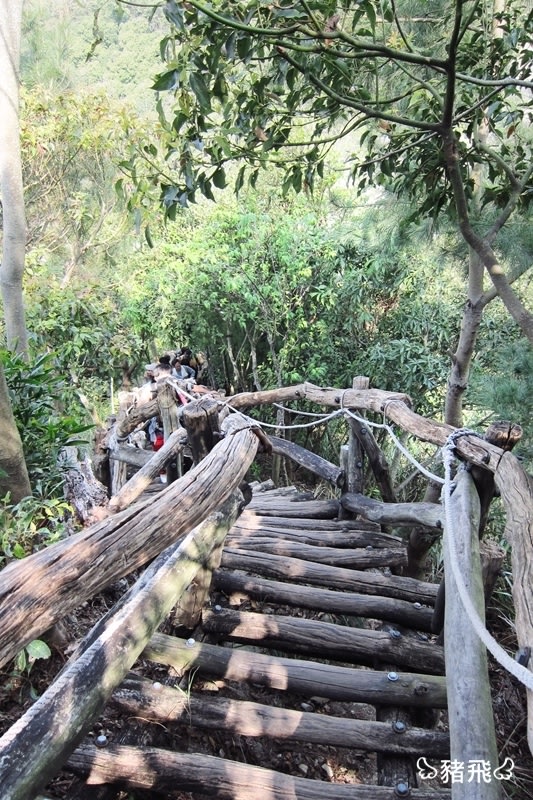 【台中旅遊】小長城之稱的大坑四號步道，風景美極了！下山必吃新凍芋圓