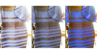 ما هي ألوان هذا الفستان 150227133403_dress2_512x288_bbc_nocredit