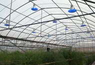 去年10月工研院與農場合作實驗LED智慧光照系統，沒想到在最近的連日豪雨下扮演起小太陽，協助農作物正常生長。(photo by工研院提供)