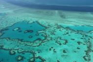 大堡礁珊瑚白化現象加劇　問題日益嚴重