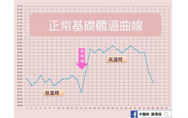 助孕好幫手！醫師教你量基礎體溫