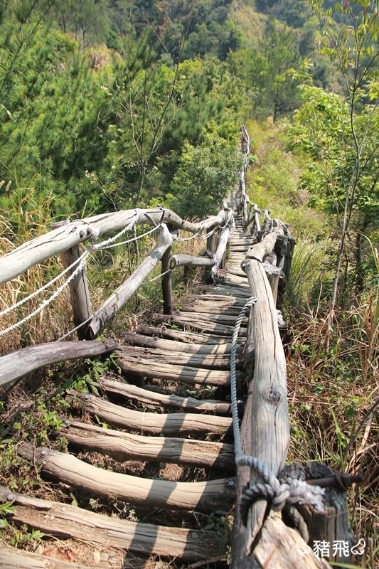 【台中旅遊】小長城之稱的大坑四號步道，風景美極了！下山必吃新凍芋圓