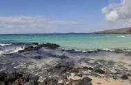 Praia em Punta Cormorant, na ilha Floreana, arquipélago de Galápagos