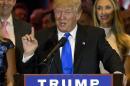 Republican presidential candidate Donald Trump speaks during a primary night news conference, Tuesday, May 3, 2016, in New York. (AP Photo/Mary Altaffer)