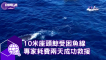 10米座頭鯨遭魚線纏繞受困 耗費2天成功救援