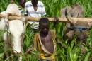 La sécurité alimentaire de l’Afrique passe par l’agriculture familiale